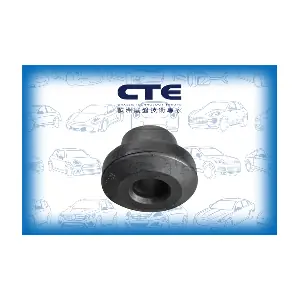 CBH03008 CTE