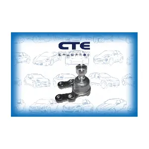CBJ06012 CTE