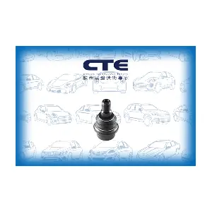 CTE CBJ21006