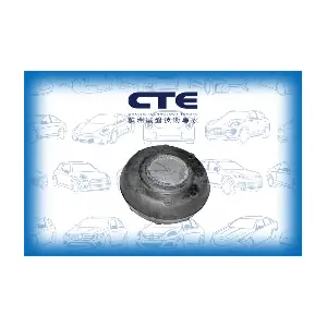 CBH11004 CTE