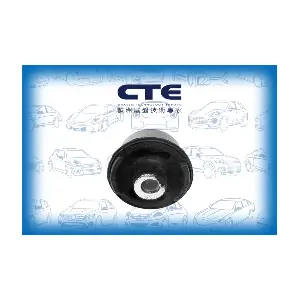 CBH21009 CTE