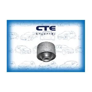 CBH03019 CTE