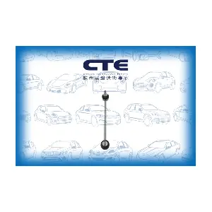CTE CSL21021