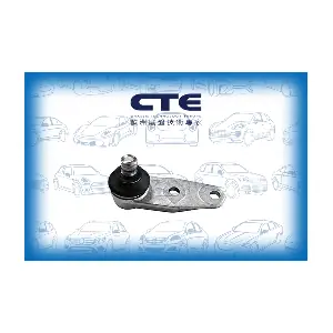 CBJ10003 CTE