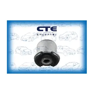 CBH31019 CTE