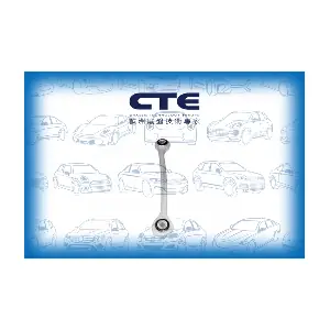 CSL21013 CTE