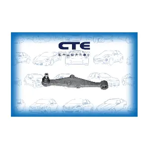 CS-131L CTE