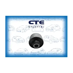 CBH26005 CTE
