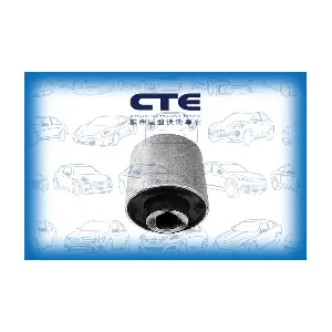 CBH21017 CTE