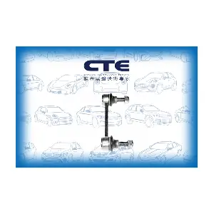 CTE CSL17013