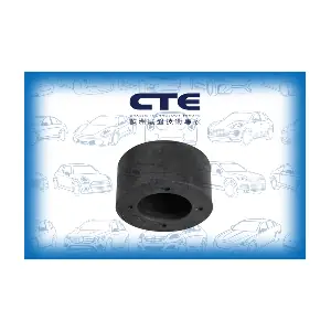 CBH03052 CTE
