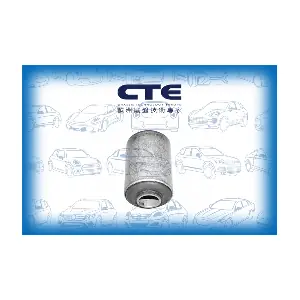 CBH06007 CTE