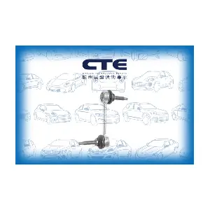 CSL31010 CTE