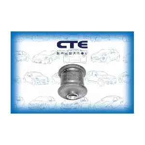 CBH15003 CTE
