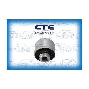 CBH21023 CTE