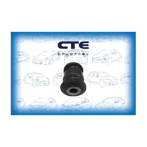 CBH01045 CTE