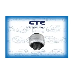 CBH31018 CTE