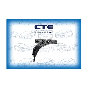 CS-313R CTE