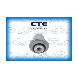 CBH01034 CTE