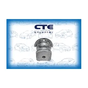 CBH06006 CTE
