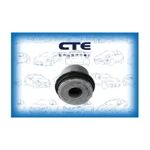 CBH21011 CTE