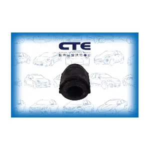 CBH06064 CTE