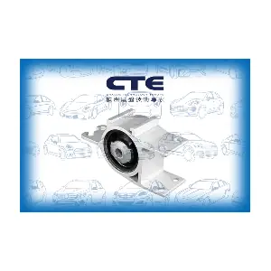 CBH21043L CTE