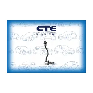 CSL11021 CTE