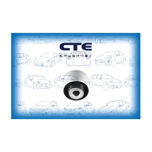 CBH17038 CTE