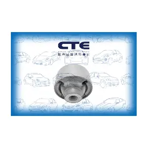 CBH01033 CTE
