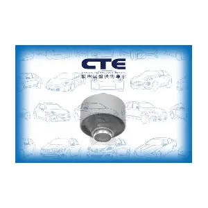 CBH02011 CTE
