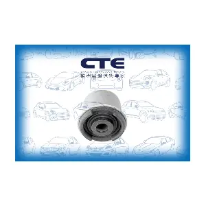 CBH02037 CTE