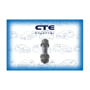 CSL03055 CTE