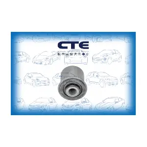 CBH06037 CTE