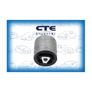CBH09029 CTE
