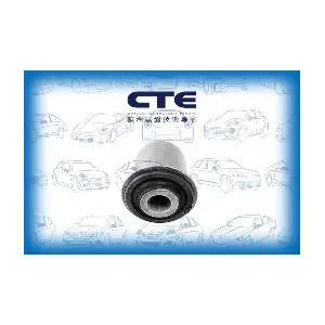 CBH01038 CTE