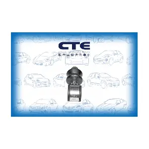CSL20002 CTE