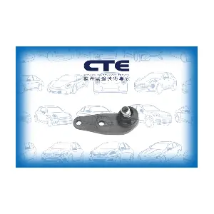CTE CBJ19001