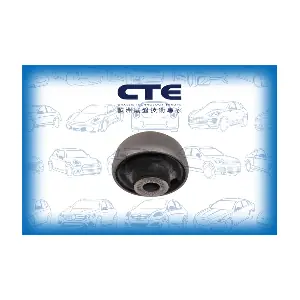 CBH20028 CTE