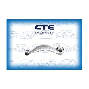CS-3130 CTE