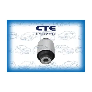 CBH09036 CTE