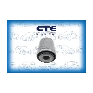 CBH09043 CTE