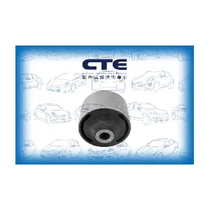 CBH26001 CTE