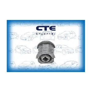 CBH06036 CTE