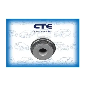 CBH21044 CTE