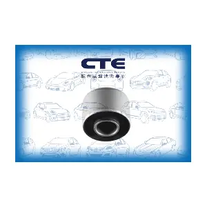 CBH06051 CTE