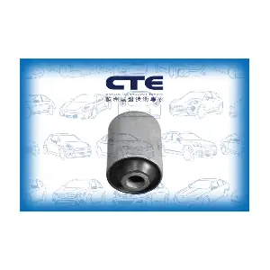 CBH01007 CTE