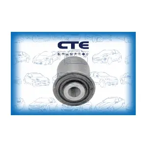 CBH06039 CTE