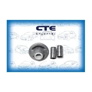 CBH15017 CTE