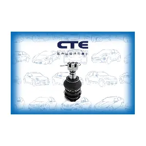 CBJ06021 CTE